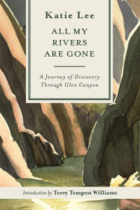 表紙画像: All My Rivers Are Gone 9781555662295
