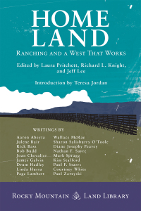 Cover image: Home Land 9781917895033