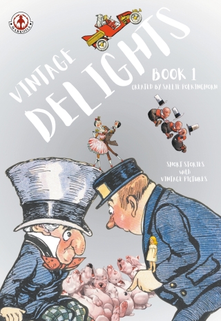 Cover image: Vintage Delights 9781918052206