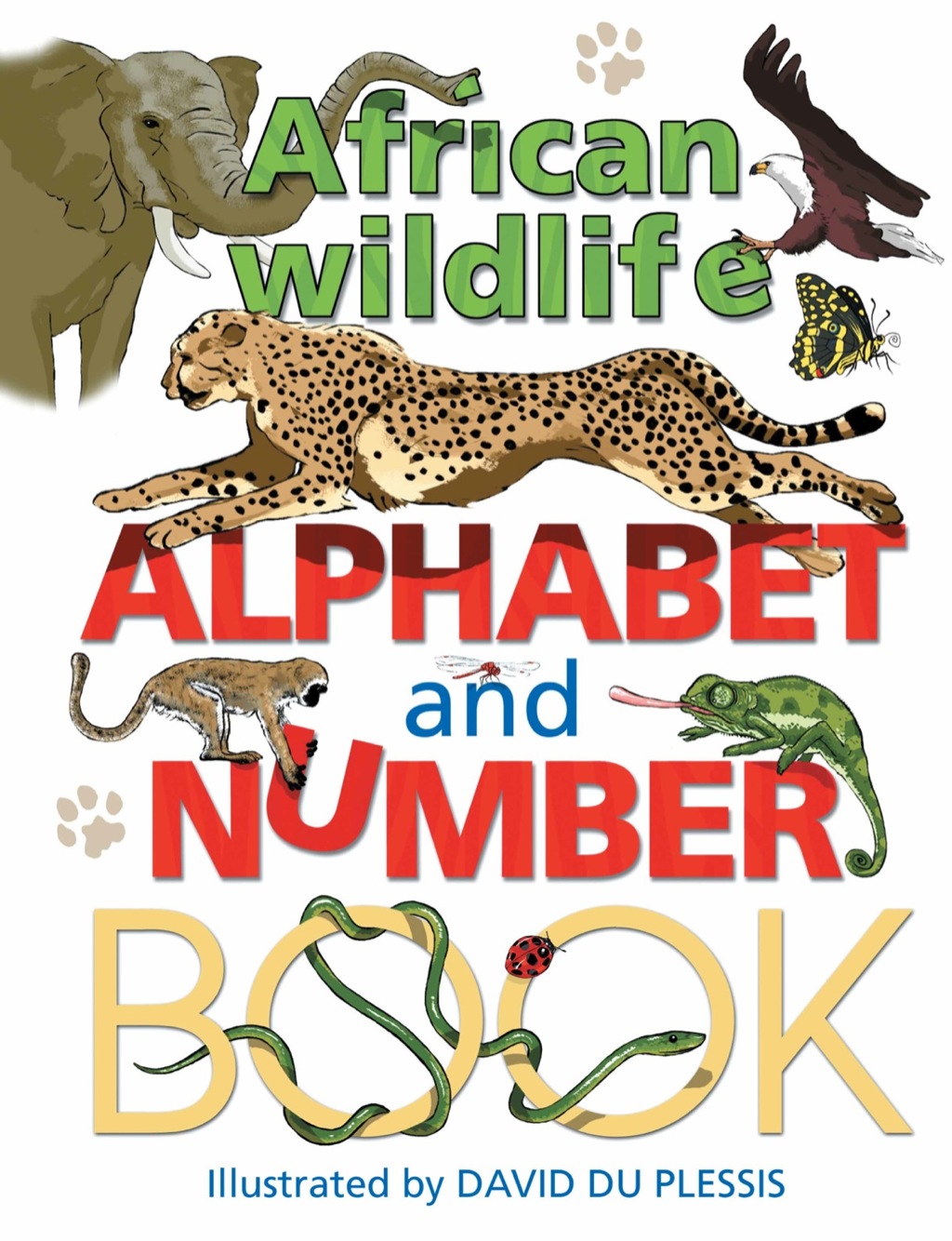 African Wildlife Alphabet and Number Book 1st Edition