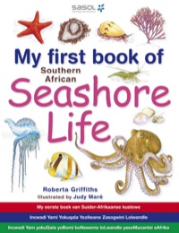 Omslagafbeelding: My First Book of Southern African Seashore Life 1st edition 9781770078222