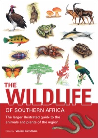 Imagen de portada: The Wildlife of Southern Africa 3rd edition 9781770071995