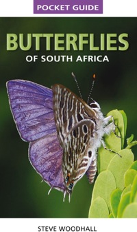 Titelbild: Pocket Guide Butterflies of South Africa 1st edition 9781920572471