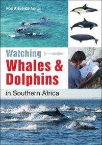 Omslagafbeelding: Watching Whales & Dolphins in Southern Africa 1st edition 9781770079571