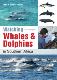 表紙画像: Watching Whales & Dolphins in Southern Africa 1st edition 9781770079571