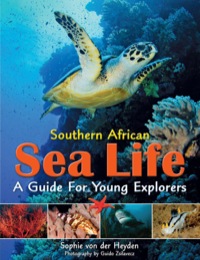 Imagen de portada: Southern African Sea Life - A Guide for Young Explorers 1st edition 9781770078932