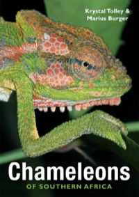 Cover image: Chameleons of Southern Africa 1st edition 9781920572860