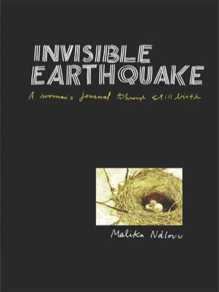 Cover image: Ndlovu: Invisible Earthquake 1st edition 9780980272932