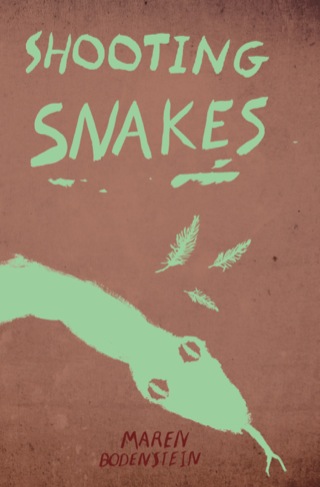 Cover image: Shooting Snakes 1st edition 9781920590017