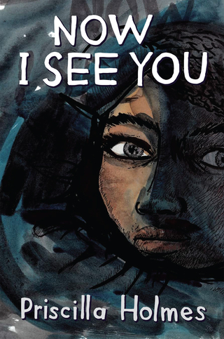 Cover image: Now I See You 1st edition 9781920590758