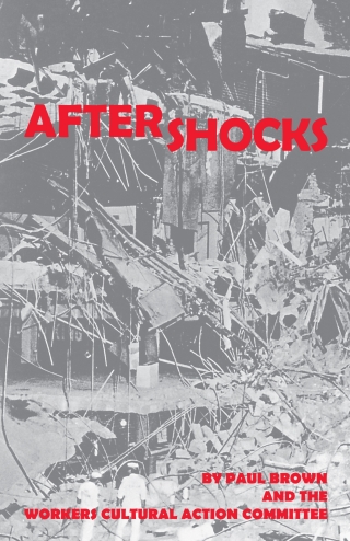 Imagen de portada: Aftershocks 1st edition 9780868196503