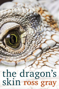 Cover image: The Dragon's Skin