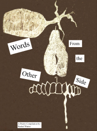 Immagine di copertina: Words From the Other Side 9781922328762