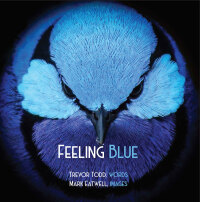 Cover image: Feeling Blue 1st edition 9781922332721