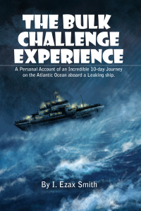 Imagen de portada: The Bulk Challenge Experience 9781922381880