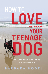 Omslagafbeelding: How to love and survive your teenage dog 1st edition 9781922337566