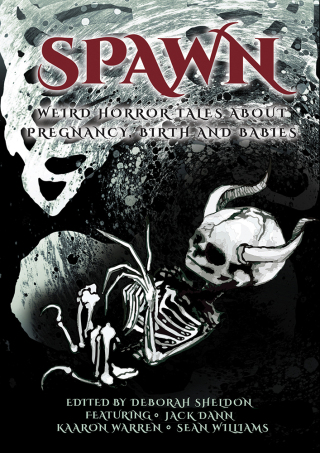 Imagen de portada: Spawn 9781925956818