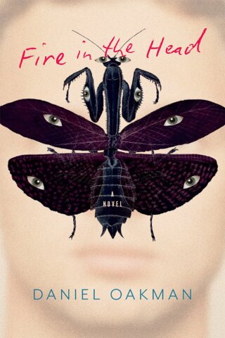 Cover image: Fire in the Head 9781922779397