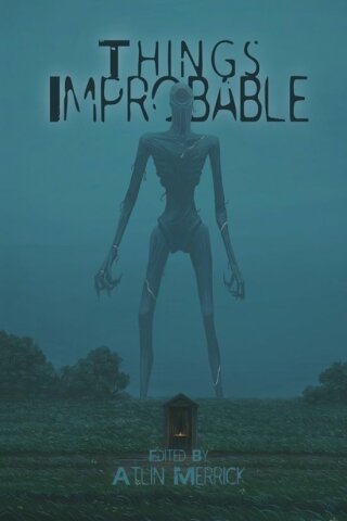 Imagen de portada: Things Improbable 9781922904232