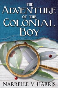 Cover image: The Adventure of the Colonial Boy 9780993513626