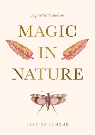 Cover image: A Practical Guide to Magic in Nature
