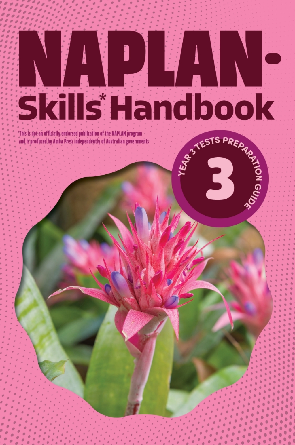 NAPLAN-Skills* Handbook 3: Year 3 Tests Preparation Guide 1st Edition