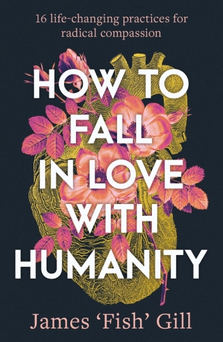 Cover image: How to Fall in Love with Humanity 9781923046313