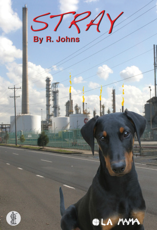 Imagen de portada: Stray 1st edition 9781925004748