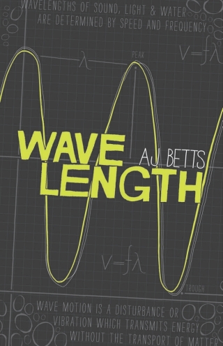 Imagen de portada: Wavelength 1st edition 9781921696305