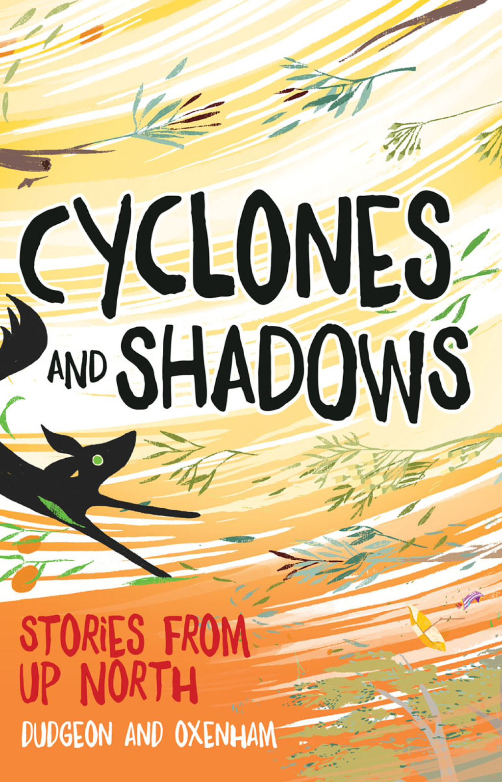 Cyclones and Shadows Stories from Up North 1st Edition