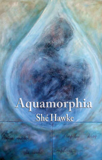 Cover image: Aquamorphia 1st edition 9781925231014