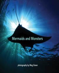 Cover image: Mermaids and Monsters 1st edition 9781925231465