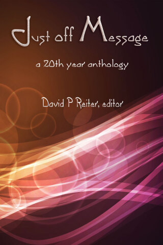 Cover image: Just Off Message 1st edition 9781925231601