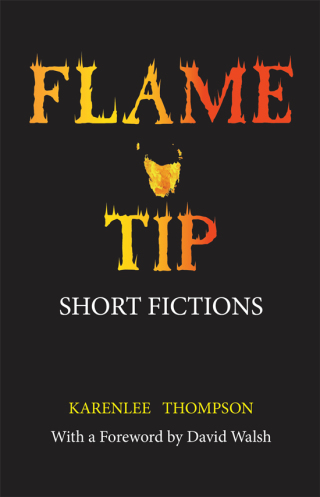 Imagen de portada: Flame Tip 9781925281477