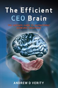 Cover image: The Efficient CEO Brain 9781925370102
