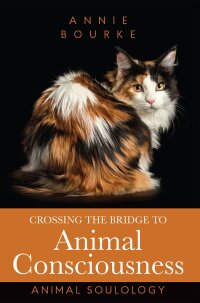 Imagen de portada: Crossing the Bridge to Animal Consciousness 9781925370850