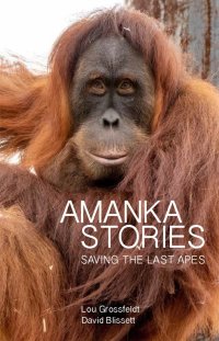 Titelbild: Amanka Stories 9781925556704