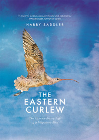 Cover image: Eastern Curlew 9781925584219