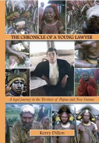 Cover image: The Chronicle of a Young Lawyer 9781925736410