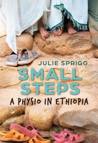 Cover image: Small Steps 9781925815603