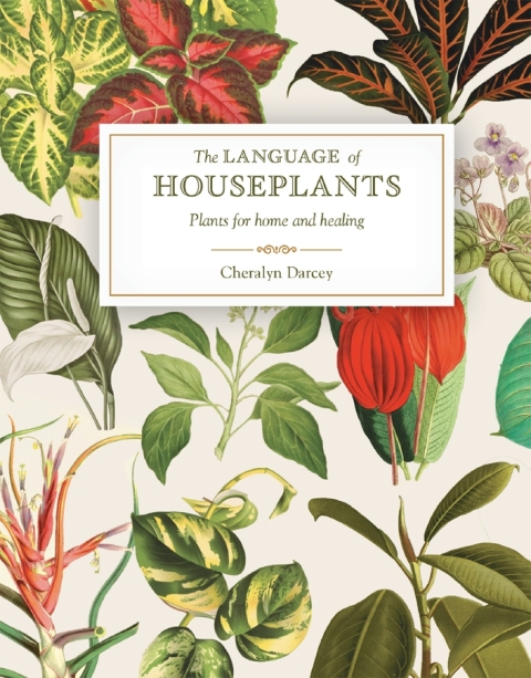 The Language of Houseplants - FULL INSTANT DOWNLOAD | PDF DOCX EPUB