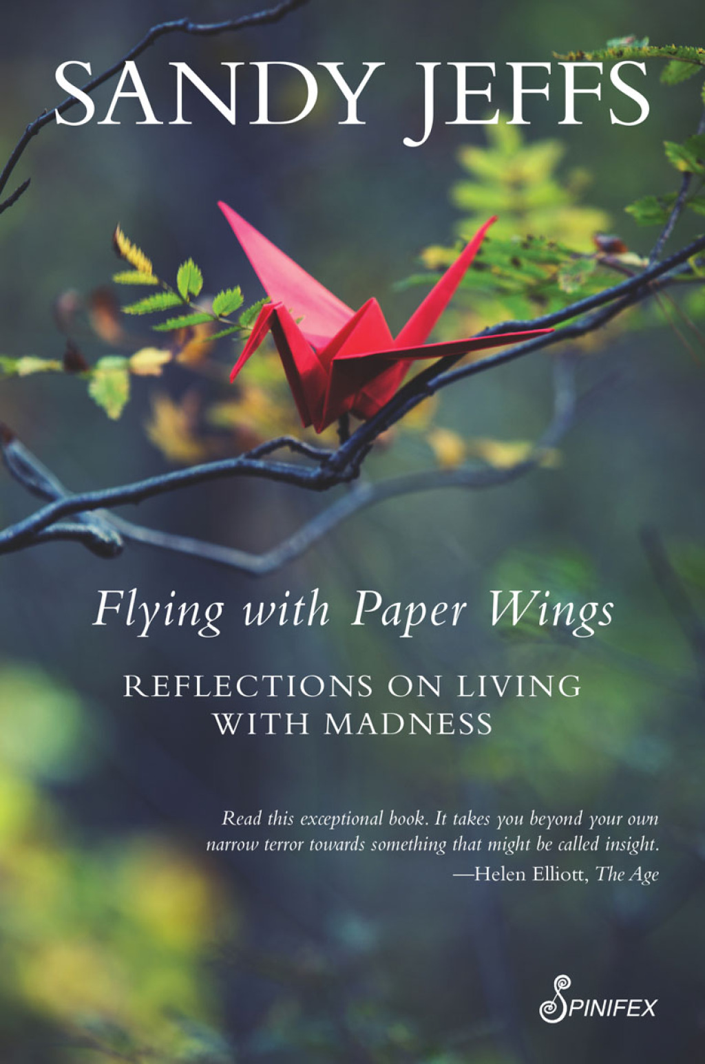 Flying with Paper Wings  2nd Edition eBook Rental