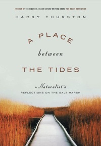 Immagine di copertina: A Place Between the Tides 9781553650355