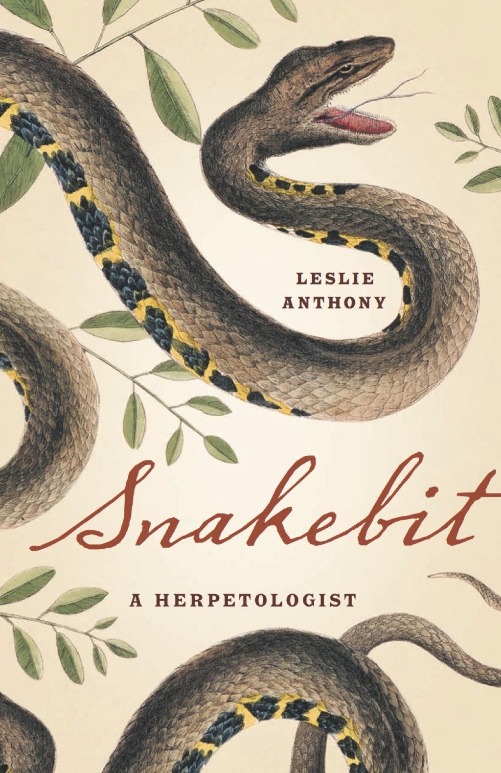 Snakebit (eBook)