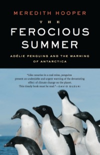 Cover image: The Ferocious Summer 9781553653691