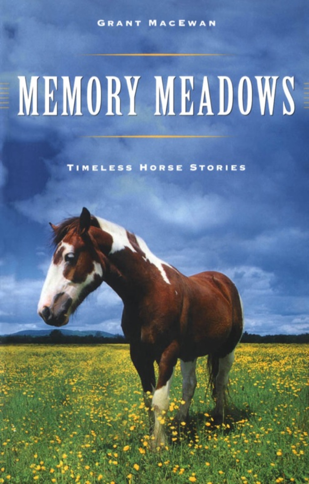 Memory Meadows (eBook)
