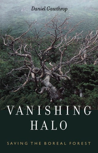 Imagen de portada: Vanishing Halo 9781926706740