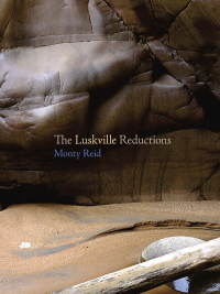 Omslagafbeelding: The Luskville Reductions 9781894078658
