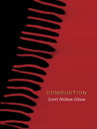 Cover image: Combustion 1st edition 9781894078559