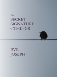 Cover image: The Secret Signature of Things 1st edition 9781894078818